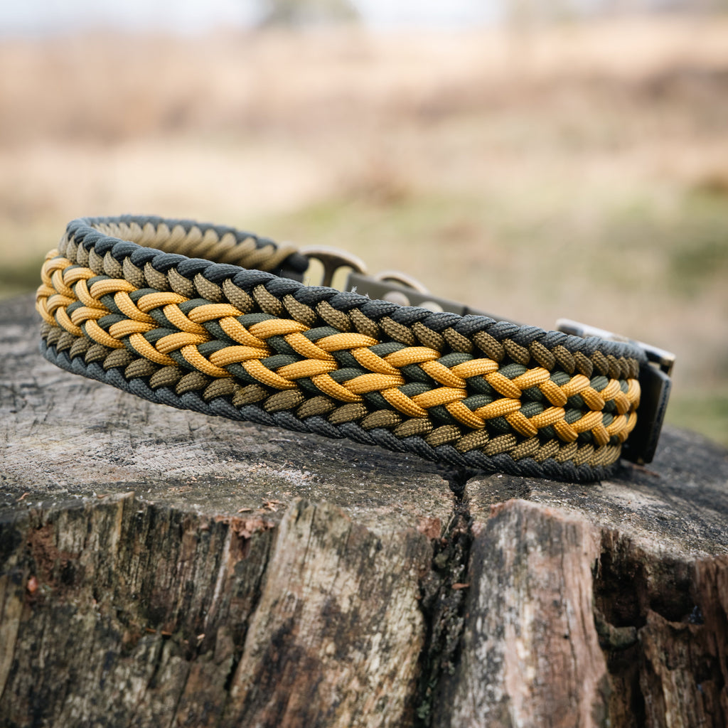 Elite Halsband - Custom